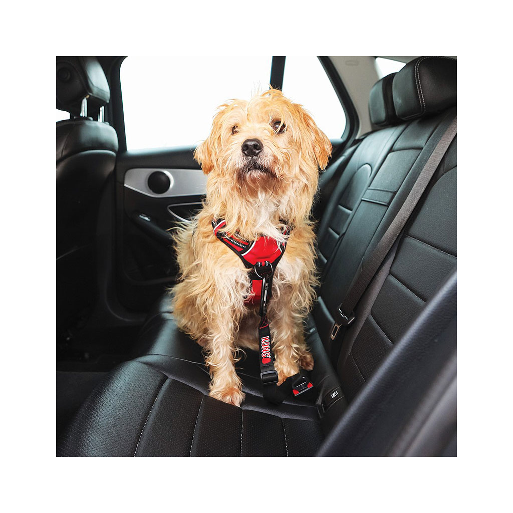 KONG Travel Autogurt Autoanschnaller für den Hund - PITUPITA ist