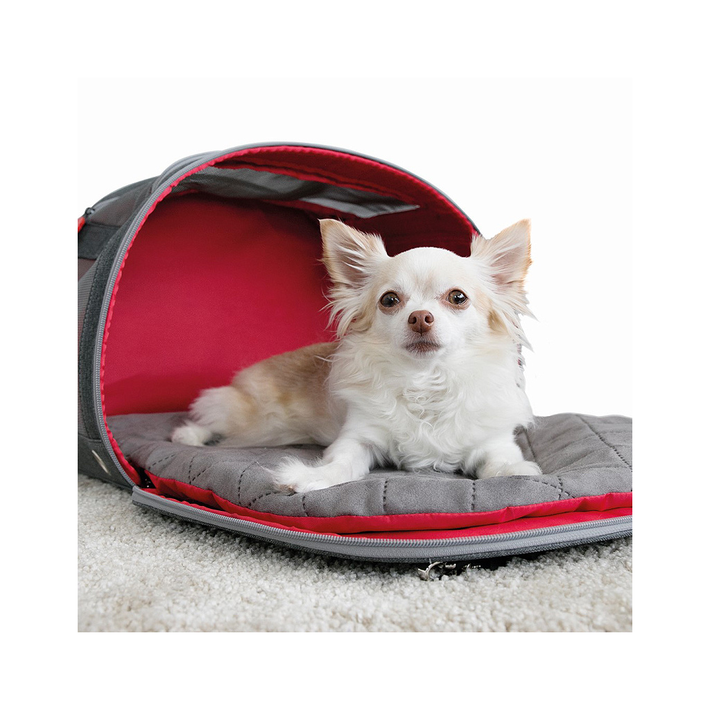KONG Travel Tragetasche und Reisematte in einem für kleine Hunde - PI,  57,90 €