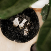 District 70 Fuzz Hundebett Donut rund old pink rosa XL Ø 100 cm