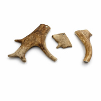 PITUPITA Hirschgeweih Snack Zahnpflege vom Dammwild SCHAUFELSTÜCK L