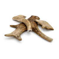 PITUPITA Hirschgeweih Snack Zahnpflege vom Dammwild SCHAUFELSTÜCK XXXL