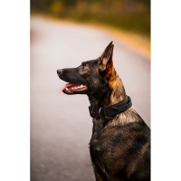 Rukka Pets Halsband Mission schwarz mit Griff L