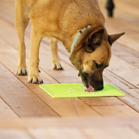 LickiMat BUDDY SchleckmatteLeckmatte groß 30,5x25,5cm GRÜN