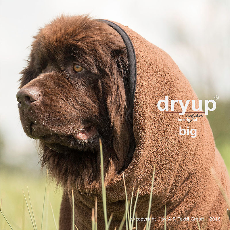 DryUp Trocken Cape Hundebademantel BIG für große Hunde in braun 79cm Rückenlänge