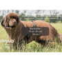 DryUp Trocken Cape Hundebademantel BIG für große Hunde in braun 90cm Rückenlänge