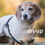 DryUp Trocken Cape Hundebademantel MINI für kleine Hunde in sand beige