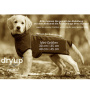 DryUp Trocken Cape Hundebademantel MINI für kleine Hunde in sand beige 30cm Rückenlänge