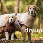 DryUp Trocken Cape Hundebademantel MINI für kleine Hunde in sand beige 40cm Rückenlänge
