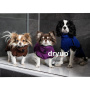 DryUp Trocken Cape Hundebademantel NANO für ganz kleine Hunde in blueberry blau