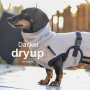 DryUp Trocken Cape Hundebademantel Trockenmantel  für Dackel in sand beige