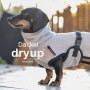 DryUp Trocken Cape Hundebademantel Trockenmantel  für Dackel in sand beige 40cm Rückenlänge