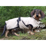 DryUp Trocken Cape Hundebademantel Trockenmantel  für Dackel in grün dunkel 40cm Rückenlänge