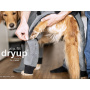 DryUp Body ZIP.FIT Hundebademantel mit Beinen für kleine Hunde in bordeaux dunkelrot 40cm