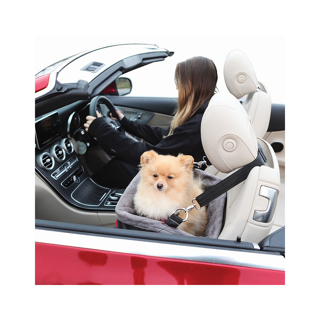 KONG Travel Transportkorb Auto für kleine und mittlere Hunde