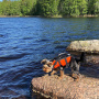 Rukka Pets Schwimmweste orange XS