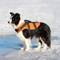 Rukka Pets Schwimmweste orange S