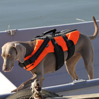 Rukka Pets Schwimmweste orange L