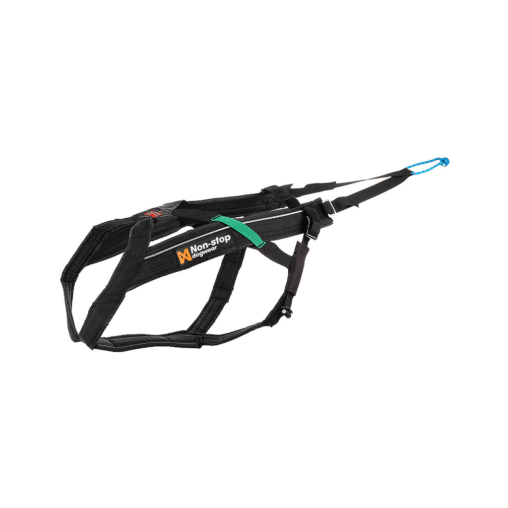 Robustes Zuggeschirr für ambitionierten Hundesport