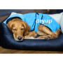 DryUp Trocken Cape Hundebademantel MINI für kleine Hunde in cyan hellblau 30cm Rückenlänge