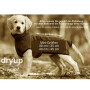 DryUp Trocken Cape Hundebademantel MINI für kleine Hunde in cyan hellblau 30cm Rückenlänge