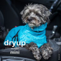 DryUp Trocken Cape Hundebademantel MINI für kleine Hunde in cyan hellblau 35cm Rückenlänge