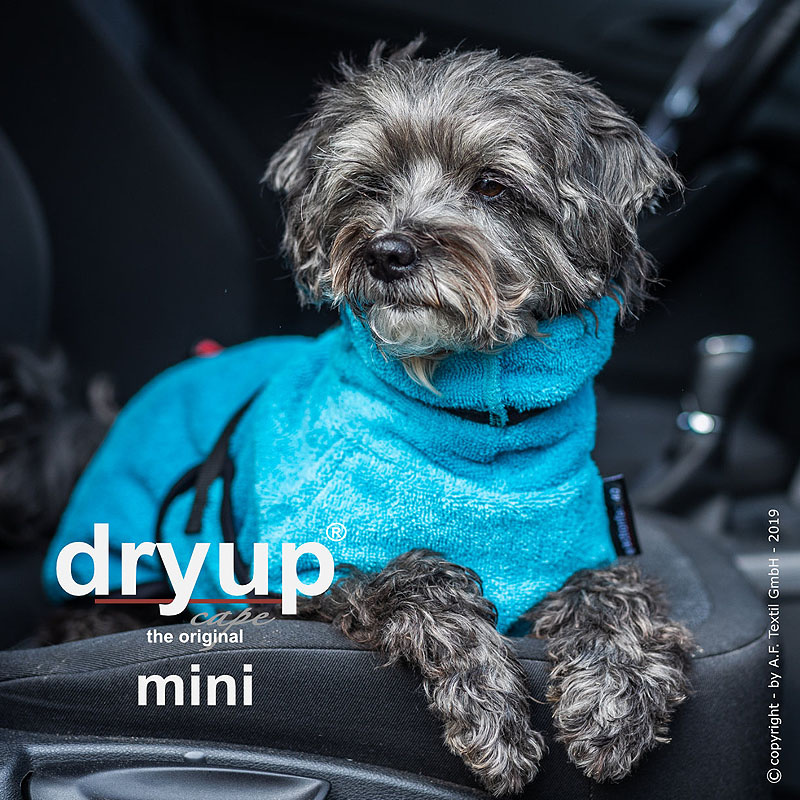 DryUp Trocken Cape Bademantel MINI für kleine Hunde in cyan hellblau 45cm Rückenlänge