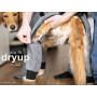 DryUp Body ZIP.FIT Hundebademantel mit Beinen für kleine Hunde in moos grün 40cm