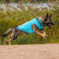 Rukka Pets UV T-Shirt Sonnenschutz Chilly  für den Hund in blau LSF 30+ XS