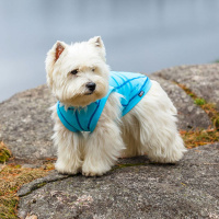 Rukka Pets UV T-Shirt Sonnenschutz Chilly  für den Hund in blau LSF 30+ XS