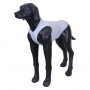 Rukka Pets UV T-Shirt Sonnenschutz  für den Hund in hellgrau LSF 50+