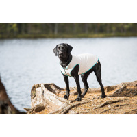 Rukka Pets UV T-Shirt Sonnenschutz  für den Hund in hellgrau LSF 50+ XS