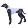 Rukka Pets UV T-Shirt Sonnenschutz  für den Hund in hellgrau LSF 50+ L