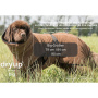 DryUp Trocken Cape Hundebademantel BIG für große Hunde in clementine orange 79cm Rückenlänge