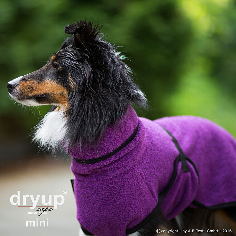 DryUp Trocken Cape Bademantel MINI für kleine Hunde in bilberry lila violett 30cm Rückenlänge