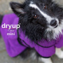 DryUp Trocken Cape Hundebademantel MINI für kleine Hunde in bilberry lila violett 40cm Rückenlänge
