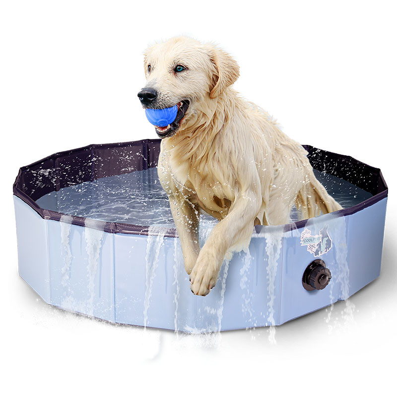 CoolPets Pool Plantschbecken Hundepool blau