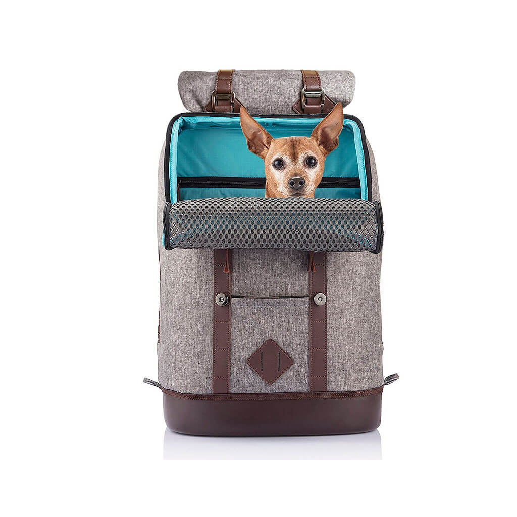 Kurgo K9 verstärkter Rucksack für Hunde grau elegant PITUPITA ist s