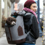 Kurgo K9 verstärkter Rucksack für Hunde grau elegant