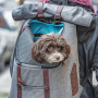 Kurgo K9 verstärkter Rucksack für Hunde grau elegant