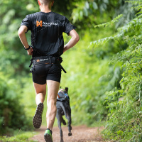 Non-stop dogwear Laufgurt Leinengurt caniX Belt M  70-108cm