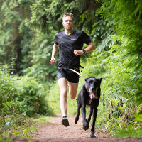 Non-stop dogwear Laufgurt Leinengurt caniX Belt M  70-108cm