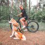 Non-stop dogwear Fahrrad Bike MTB Bikeantenne