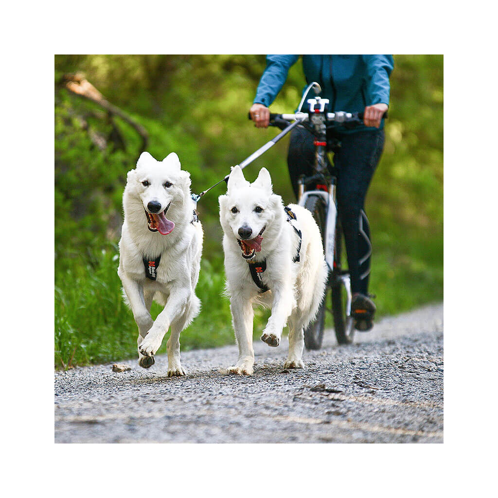 allergie trockenfutter für hunde Vegetarisches Hundefutter bei Allergie