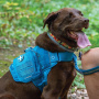 Kurgo Erste Hilfe Set RSG für Hund und Mensch 50 Teile