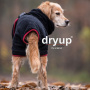 DryUp Trocken Cape Hundebademantel in black schwarz M 60cm