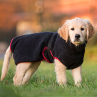 DryUp Trocken Cape Hundebademantel MINI für kleine Hunde in black schwarz 45cm Rückenlänge
