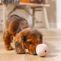 Beeztees Puppy Dental Ball Welpenball Snackball rosa