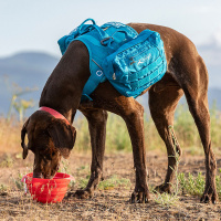 Kurgo Reisenapf faltbar Collaps a bowl ORANGE