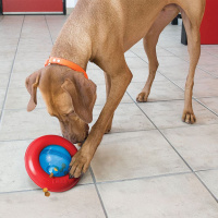 KONG Gyro Leckerchen Spender Intelligenzball  S - klein - 14 cm