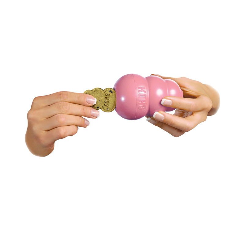 KONG  Snacks Hundesnack Puppy Welpen mit Lachs für KONG